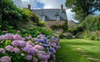 ai genererad en pittoresk scen av en skön trädgård Utsmyckad med hortensior i Bretagne, fångande de lugn och färgrik atmosfär av detta blommig landskap foto