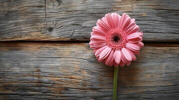 ai genererad en rosa gerbera daisy mot ett åldrig trä- bakgrund foto