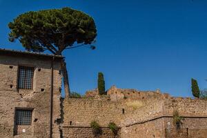 romerska ruiner i rom, forum foto