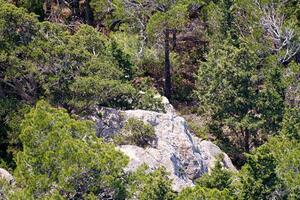 höga berg och klippor i Grekland Rhodos foto