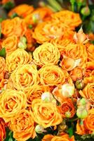 orange blommor på tabell, ljus och glad dekoration aning foto