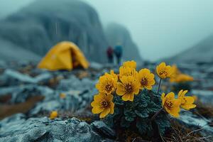 ai genererad camping frihet i de natur och har roligt med vår vild blommor se foto