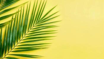 tropisk handflatan blad gjutning en skugga på en vibrerande gul bakgrund foto