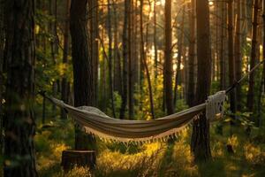 ai genererad få satte igång med camping hängmatta professionell fotografi foto