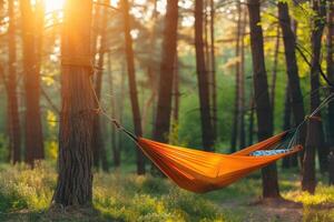 ai genererad få satte igång med camping hängmatta professionell fotografi foto