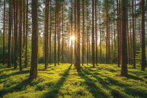 ai genererad värld skog dag hälsningar kort professionell fotografi bakgrund foto