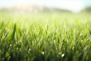 ai genererad grön gräs i de solljus med solljus lysande genom foto