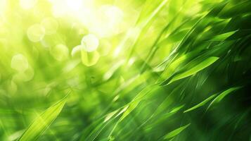 ai genererad naturlig Sol strålar Sol ljus rör på sig gräs foto