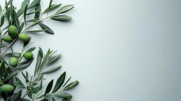 ai genererad minimalistisk vit bakgrund med en gren av oliver på de vänster och fri Plats på de rätt foto