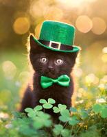 ai genererad kattunge i grön topp hatt, grön gräs på bakgrund, st. Patricks dag begrepp foto