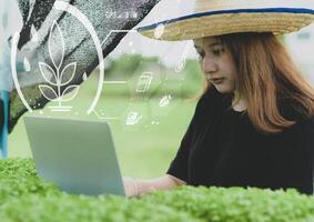 en ny generation kvinnliga bönder med bärbar dator i hydroponikplantagen i växthus, smart gård. foto