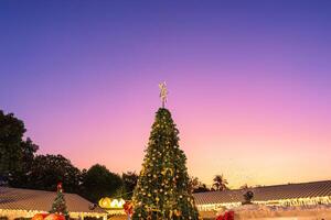 jul träd dekorerad med boll, ljus lysande i de solnedgång på jul marknadsföra foto