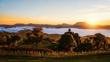 landskap soluppgång över dimma och ljuset från den vackra solen på toppen av berget, turistattraktion huai nam dang nationalpark, chiang mai. foto