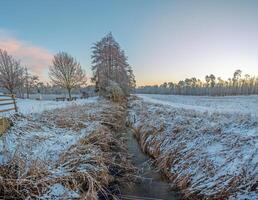 bild av en ström i vinter- med en snötäckt vägbank i de morgon- ljus foto