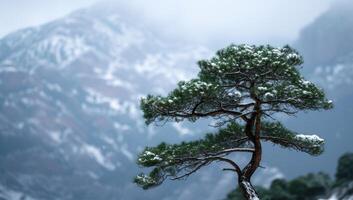 ai genererad tall träd i de snö mot de bakgrund av de berg. foto