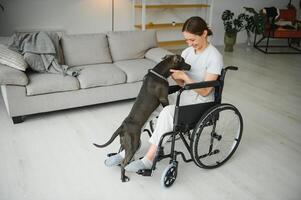 ung kvinna i rullstol med service hund på Hem foto