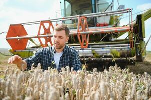 Lycklig jordbrukare stolt stående i en fält. kombinera tröskor förare gående till beskära rik vete skörda. agronom bär flanell skjorta, ser på kamera på en jordbruksmark foto