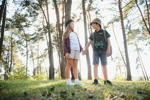 två Lycklig barn har roligt under skog vandra på skön dag i tall skog. söt pojke spana med kikare under vandring i sommar skog. begrepp av äventyr, scouting och vandring turism foto