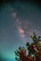 landskap med mjölkig sätt galax över träd. natt himmel med stjärnor. lång exponering fotografera. foto