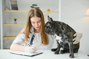 glad ung veterinär tar vård och granskning en skön hund franska bulldogg foto