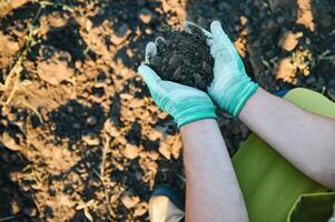 topp se av jordbrukare kvinna hand innehav kompost bördig svart jord bakgrund och kopia Plats, begrepp av lantbruk, trädgårdsarbete, spara värld, jord dag och händer ekologi miljö. foto