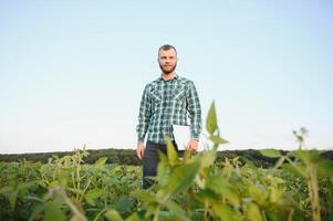 agronom inspekterande soja böna gröda växande i de bruka fält. lantbruk produktion begrepp. ung agronom undersöker sojaböna beskära på fält i sommar. jordbrukare på sojaböna fält foto