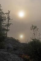 Sol reflexion i tidigt morgon- dimma foto
