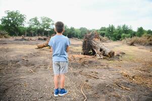 avskogning en ledsen pojke står i de mitten av en skära skog. foto