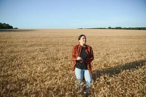 kvinna jordbrukare agronom arbetssätt i spannmål fält och planera inkomst av skörda. kvinna granskning och kontroll kvalitet kontrollera av producera vete beskära. lantbruk förvaltning och jordbruksnäringen foto