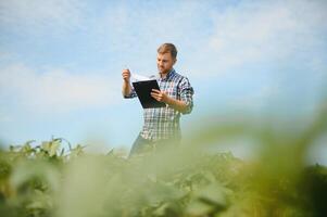 agronom inspekterande soja böna gröda växande i de bruka fält. lantbruk produktion begrepp. ung agronom undersöker sojaböna beskära på fält i sommar. jordbrukare på sojaböna fält. foto