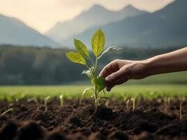 ai genererad en mänsklig hand plantering växt frön mot de bakgrund av natur foto