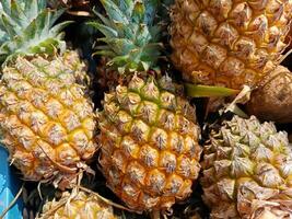 färsk ananas frukt i traditionell marknader, färsk ananas färsk ananas frukt i traditionell marknader, färsk ananas frukt med en ljus och frestande gul Färg. begrepp för älskande av hälsa. foto