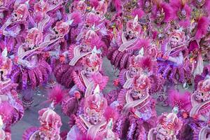 rio, Brasilien, februari 12, 2024. parader av de samba skolor unidos do viradouro av de särskild grupp, under de karneval i de stad av rio de janeiro i sapucai gata foto