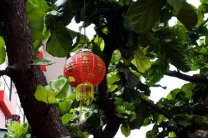 selektiv fokus av lykta lampor den där dekorera under kinesisk ny år. bra för kinesisk ny år firande. foto