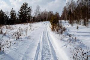 vinter- väg i de skog. snöskoter fotspår foto