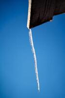 en tunn istapp hänger från de tak. frysta vatten i vinter. vinter- fenomen av natur. skarp istapp. minimalistisk skott foto