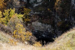 en klippig klippa i de mitten av de skog, de ingång till en farlig grotta. utforska grottor, stenar och vilda djur och växter foto