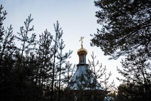 de kupol kyrkor är dold i de skog. gyllene korsa på de tak av de tempel. tsasovnya stående i de skog foto