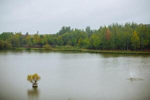 höst landskap med bred sjö nära de grön skog. en trevlig lugna sjö med en små font i natur. foto