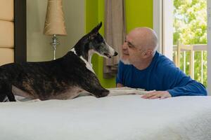 skallig man bindning med hans lekfull hund i säng. foto