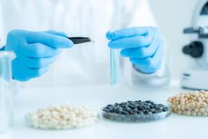 forskare kolla upp kemisk hela korn rester i laboratorium. kontrollera experter inspektera de koncentration av kemisk rester. faror, standard, förbjuden ämnen, förorena, mikrobiolog foto