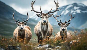 ai genererad söt rådjur betning i snöig äng, omgiven förbi lugn skönhet genererad förbi ai foto