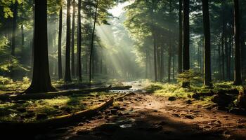 ai genererad lugn scen dimmig skog, höst löv, solljus på träd trunkar genererad förbi ai foto