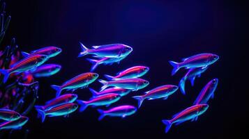 ai genererad bevittna en dynamisk skola av neon tetra fisk i synkroniserad simma, ai genererad. foto