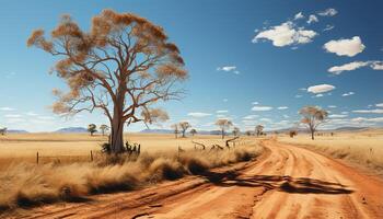 ai genererad afrikansk savann torr gräs, akacia träd, sand dyn, blå himmel genererad förbi ai foto