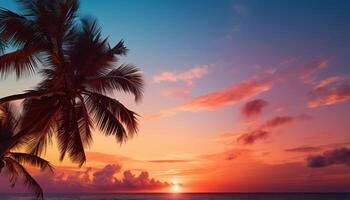ai genererad solnedgång över tropisk handflatan träd landskap, lugn skönhet i natur genererad förbi ai foto