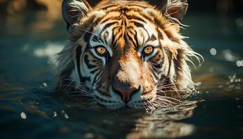 ai genererad majestätisk tiger, randig skönhet, stirrande i lugn vinter- skog genererad förbi ai foto