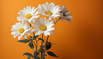 ai genererad friskhet och skönhet i natur gul daisy kronblad blomma genererad förbi ai foto