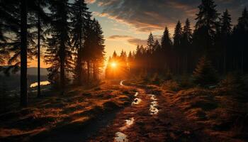 ai genererad lugn solnedgång, natur skönhet i en skog landskap genererad förbi ai foto