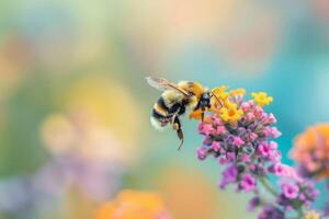 ai genererad humla navigerande färgrik blommor foto